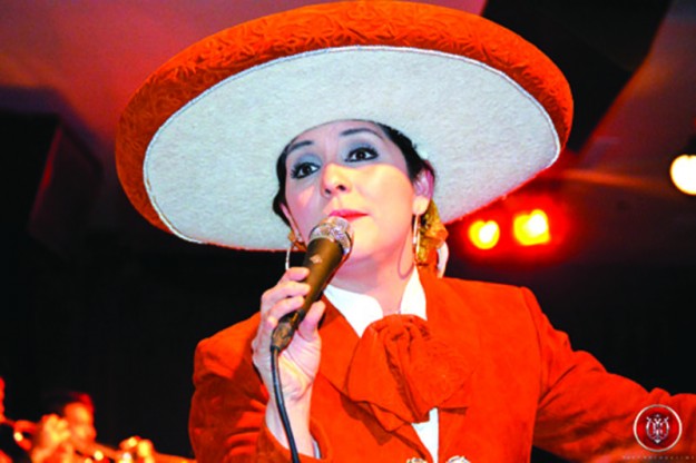 11-breve veronica