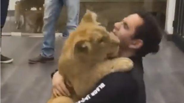 Un video publicado en Facebook sobre los tiernos momentos que pasan un pequeño león y su cuidador se volvió en viral (Foto: captura).