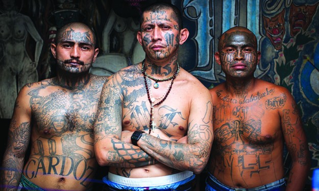 ➥➥ La MS-13 cuenta con al menos 6.000 miembros en territorio estadounidense y más de 30.000 integrantes en todo el mundo. Foto: Adam Hinton.