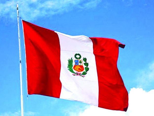 5-estudiantes ayuda peru_bandera