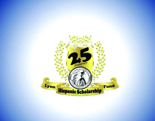 9-becas lynn_logo