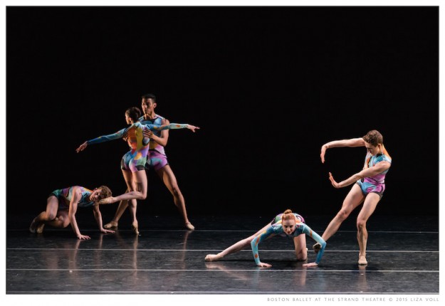 © Liza Voll Photography