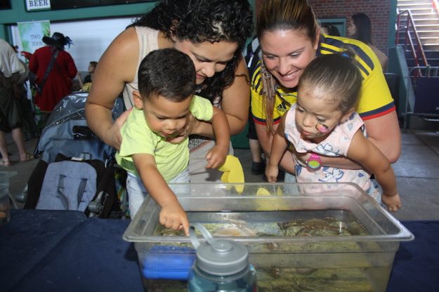 Los niños fueron los consentidos en El Mundo Latino Family Festival.