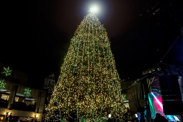El pino natural de 85 pies de altura está iluminado por más de 30.000 luces. Foto: Ciro Valiente.