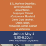 Multilingual Fair Flyer 300×600