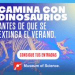 MOS_DisplayBanner_ElMundo_SummerCampaign_300x250_SpanishArtboard 1_6.17.22