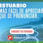 MOS_SummerCampaign_300x250_SpanishArtboard 2