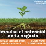 commonwealth web ads2
