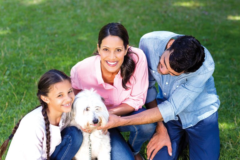 Salud Mental y mascotas puedan ayudar