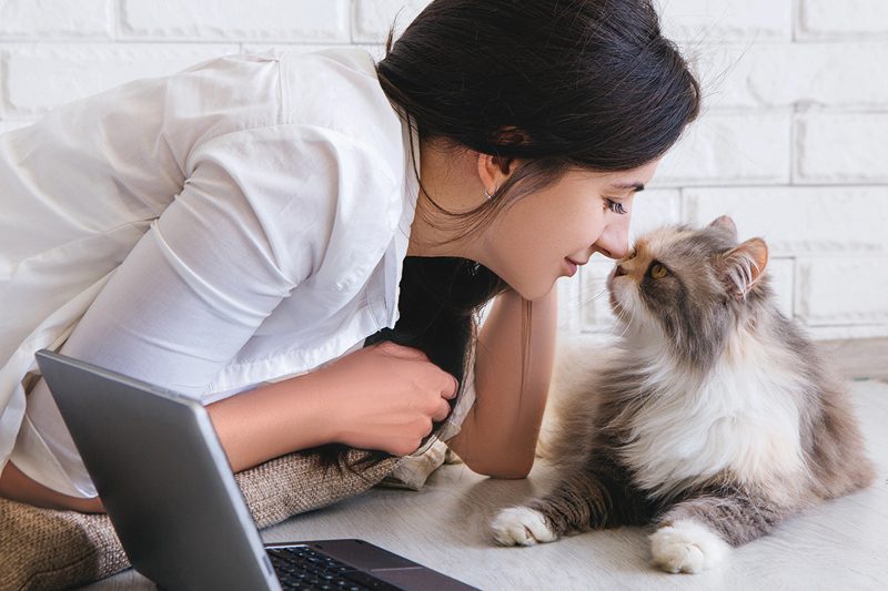 Salud Mental y como ayudan las mascotas