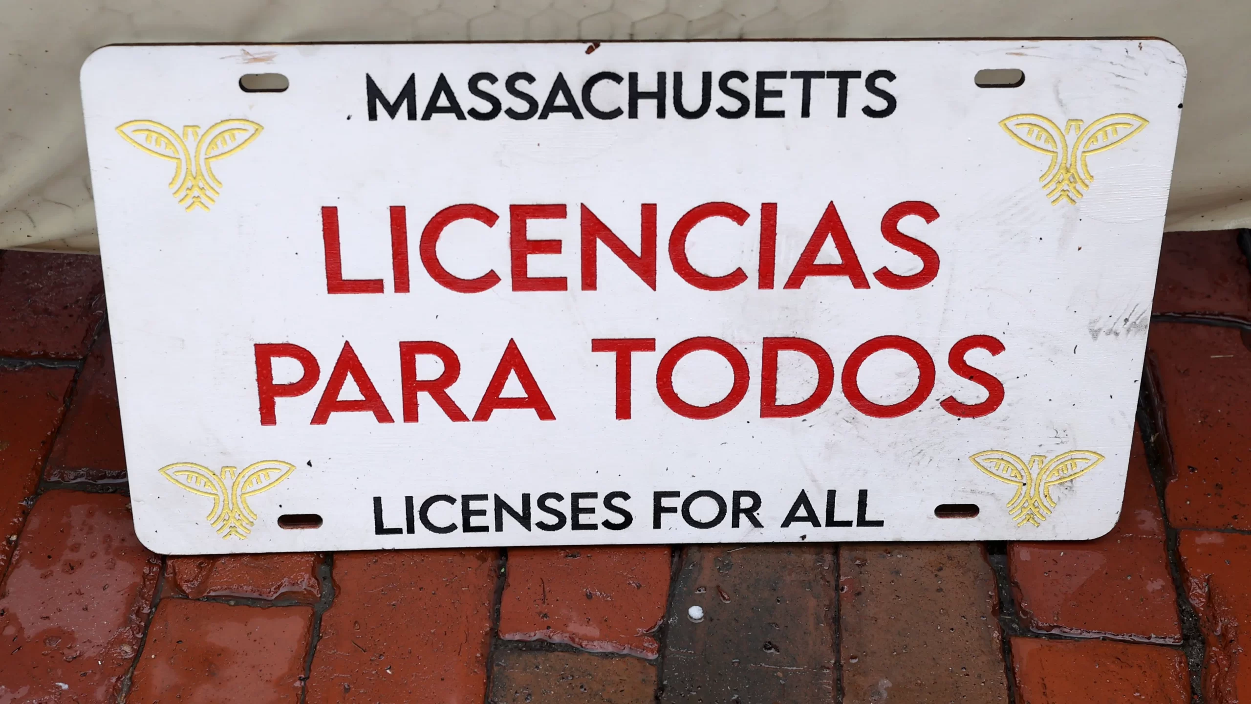 Licencias Para todos