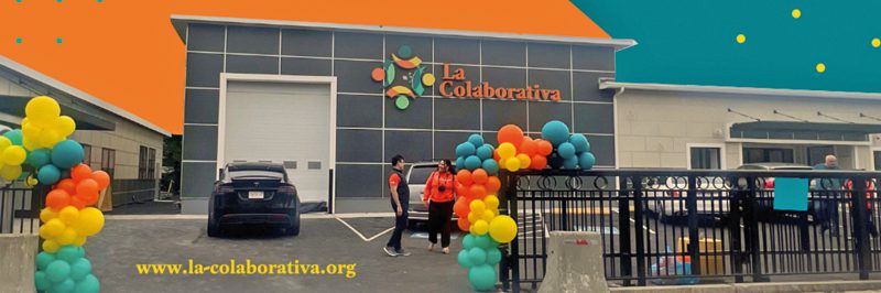 Abren Centro de Supervivencia
de la Colaborativa en Chelsea
