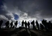 Cruces ilegales en la frontera sur se desploman en enero luego de un diciembre récord